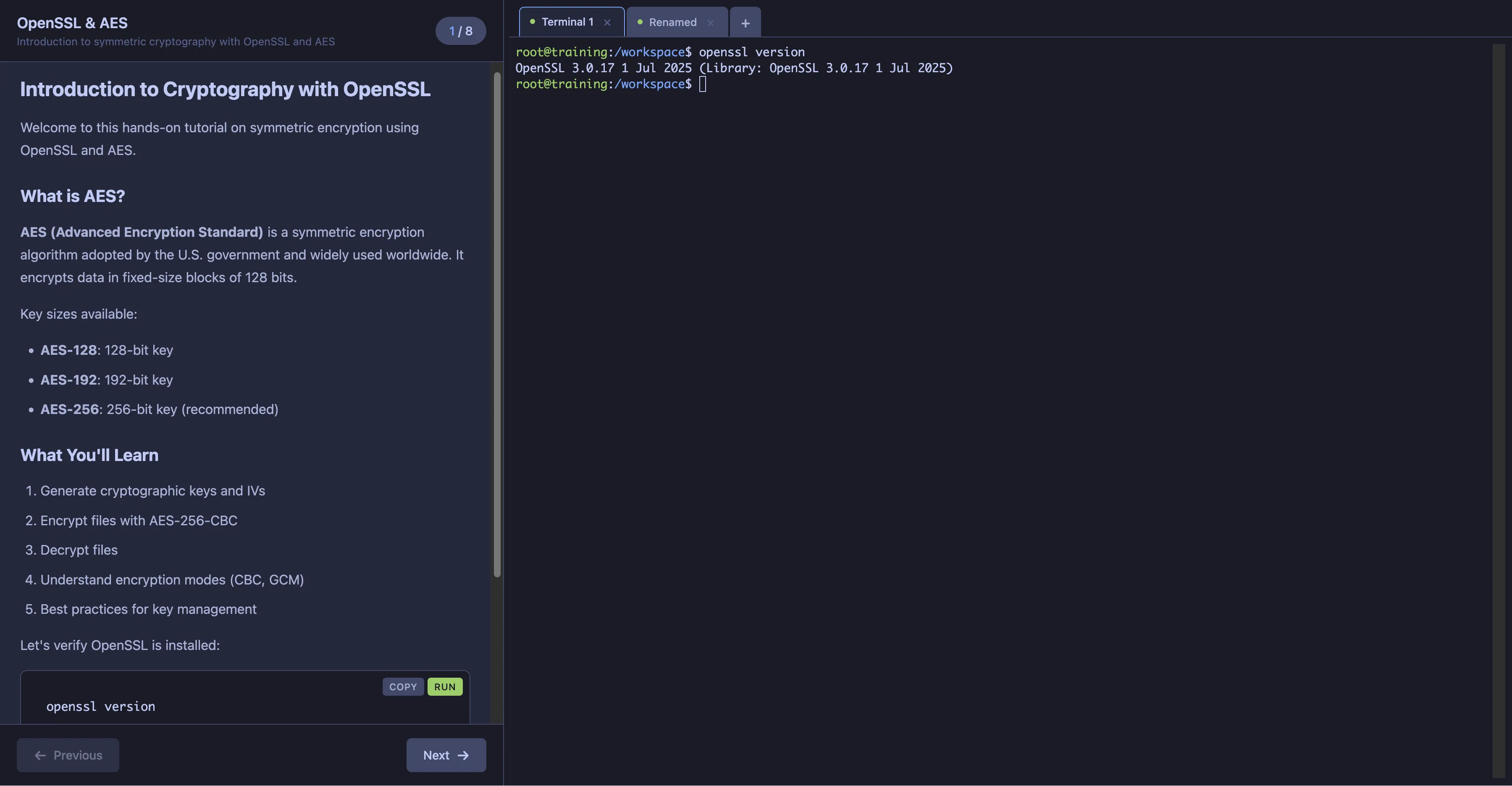 Learning UI Screenshot